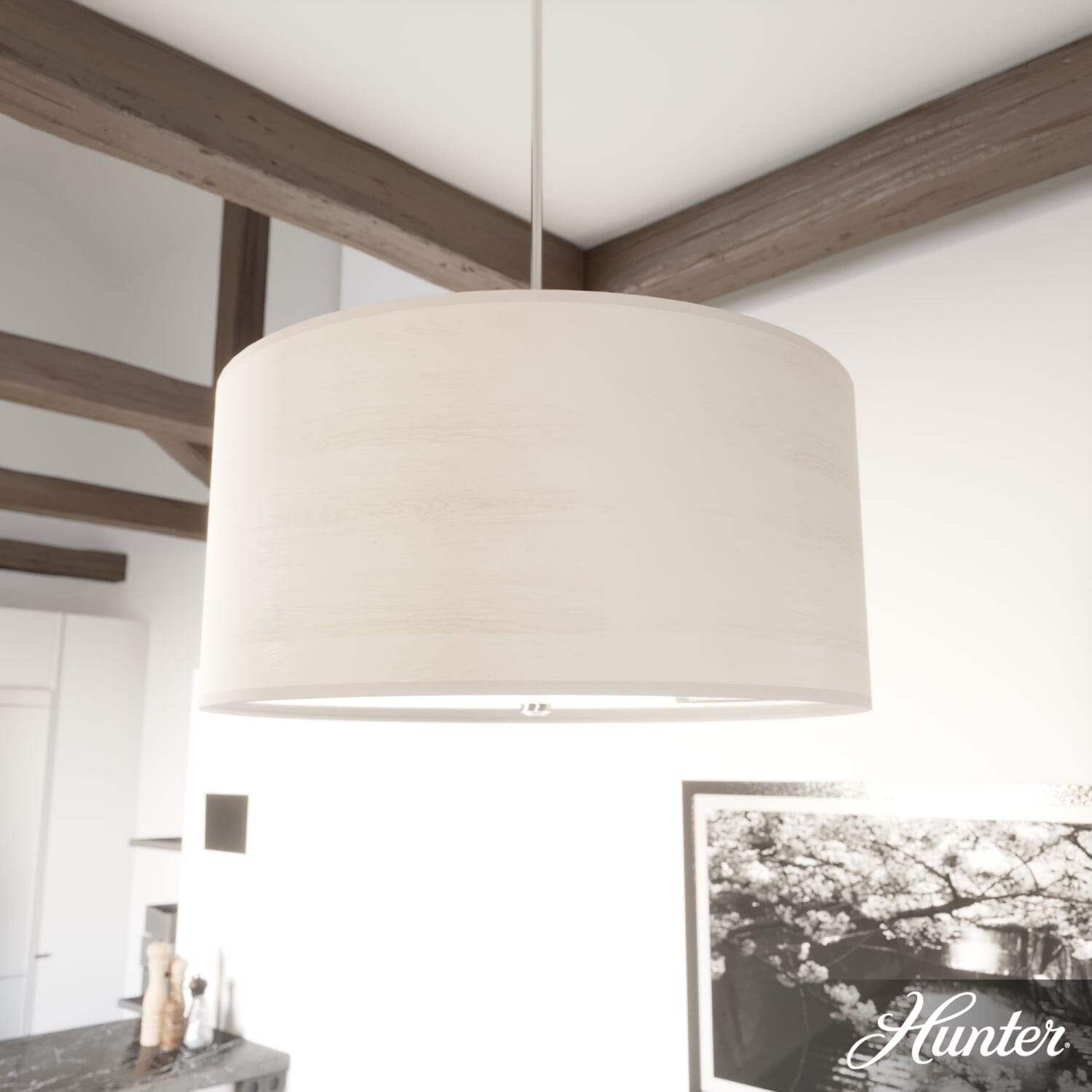Solhaven 4 Light Pendant