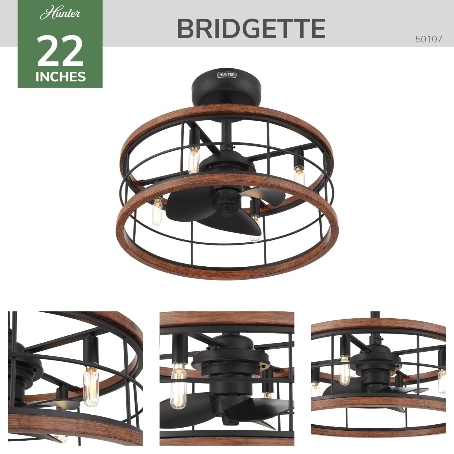 Bridgette Fandelier - Image 3