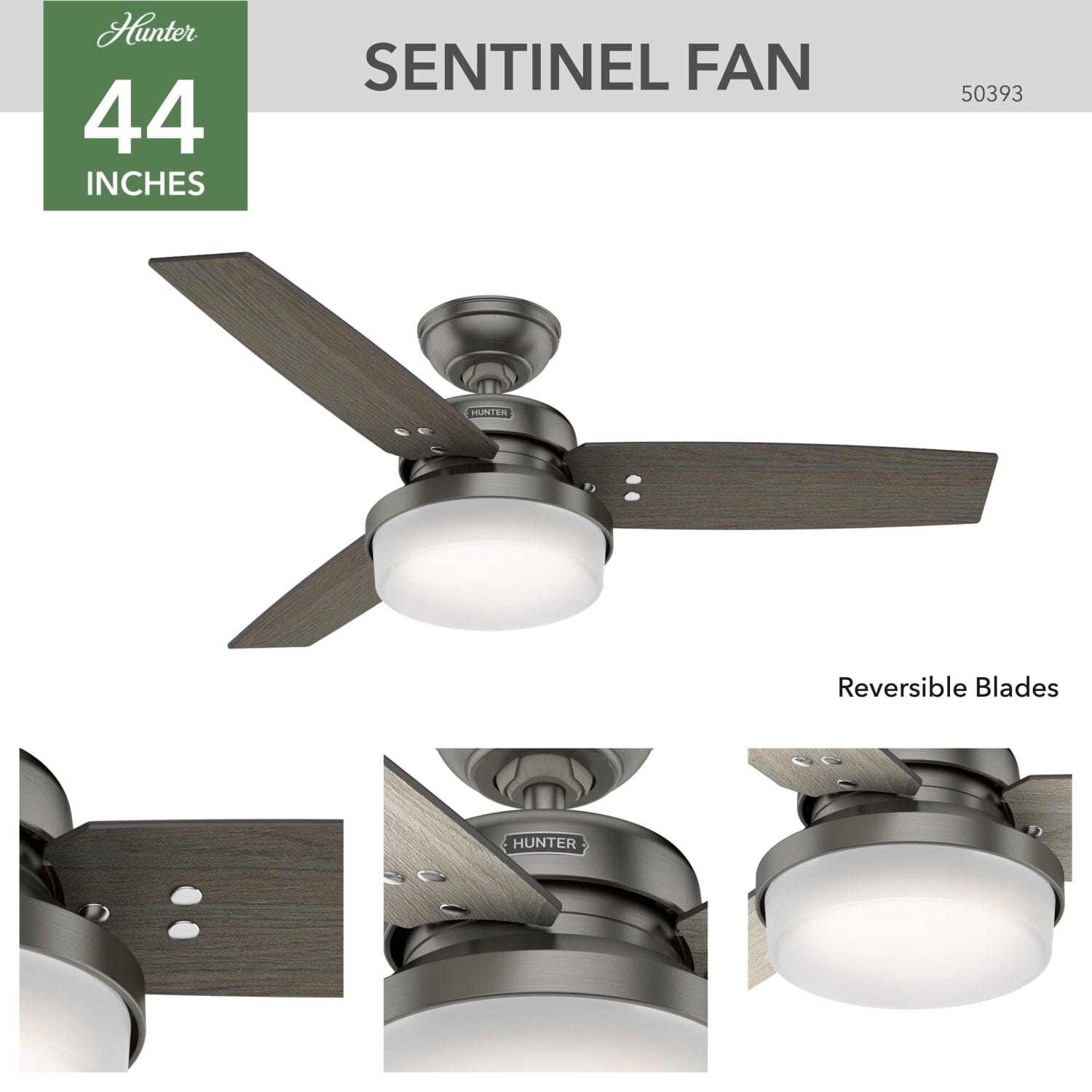 Sentinel with LED Light 44 inch - Image 3