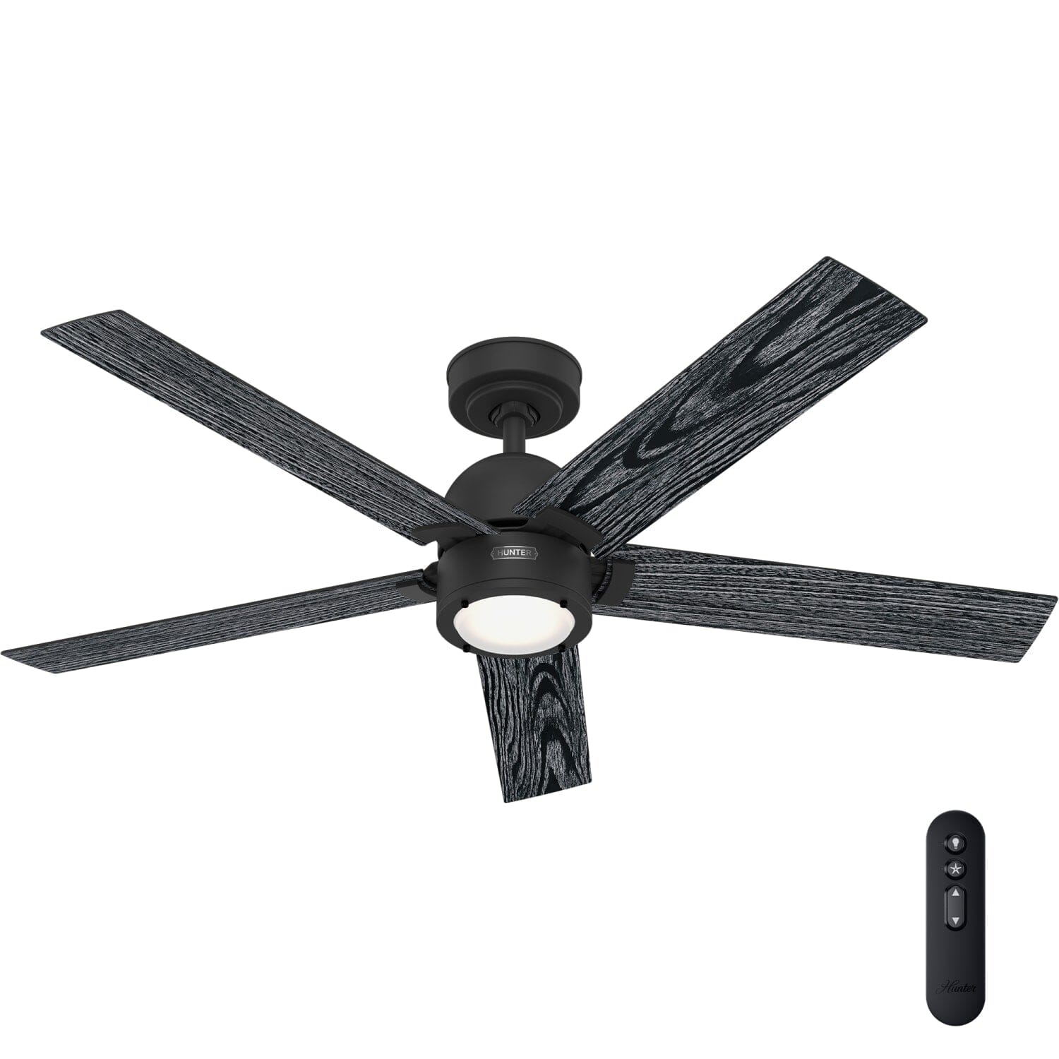Erling ENERGY STAR with LED Light 52 inch