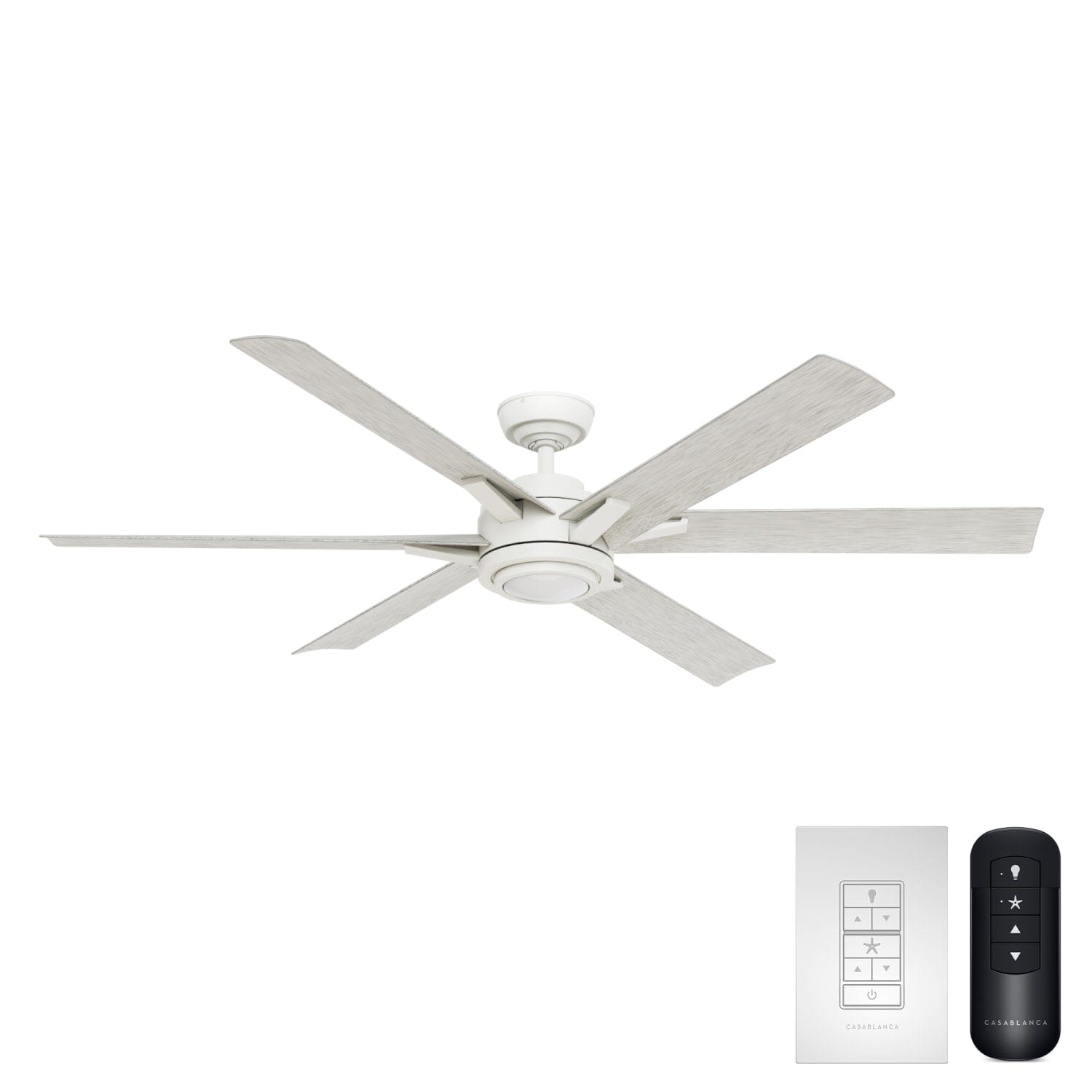 Melia Outdoor ENERGY STAR DC with LED Light 65 inch with remote and wall control
