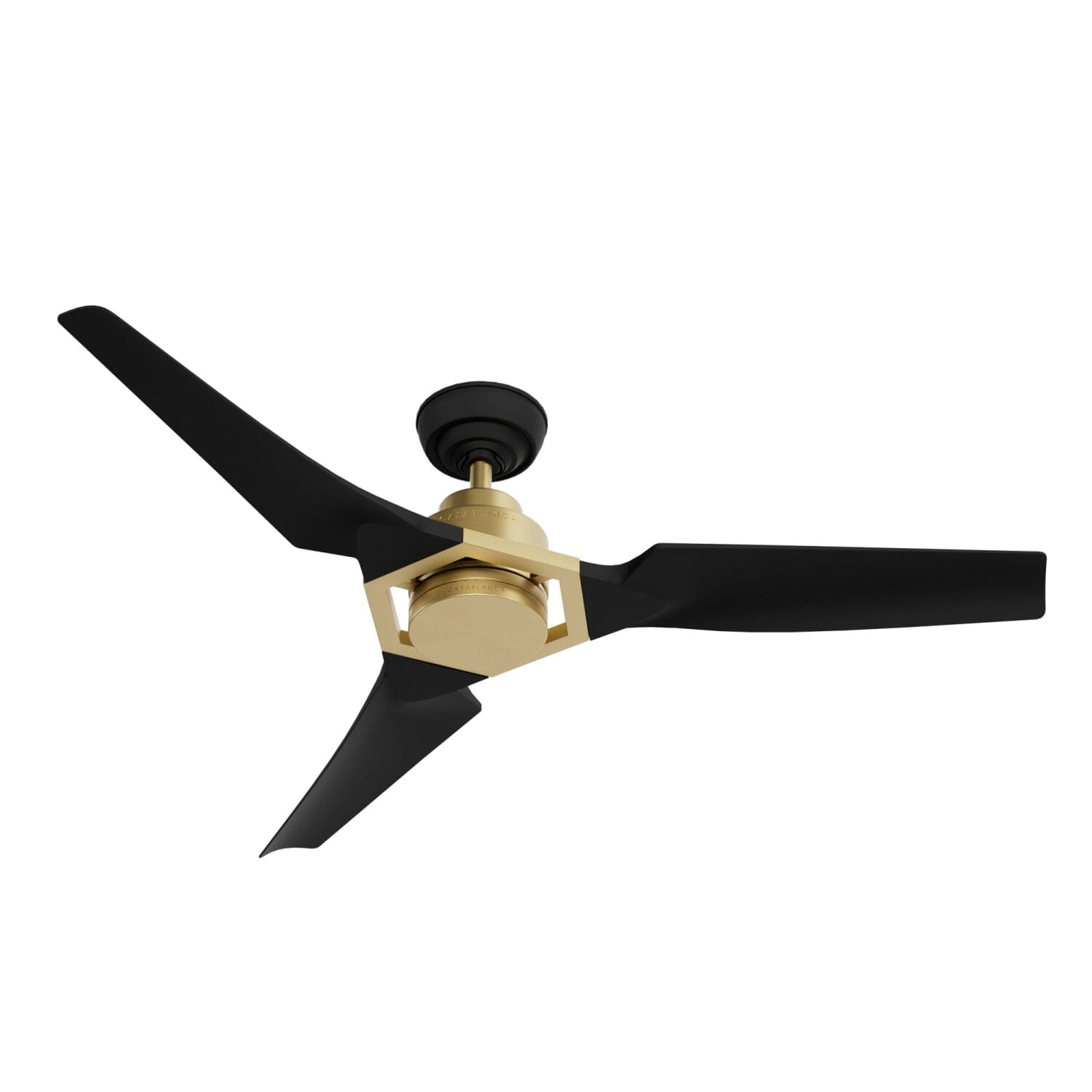 Eula Outdoor ENERGY STAR DC with LED Light 52 inch with remote and wall control - Image 3