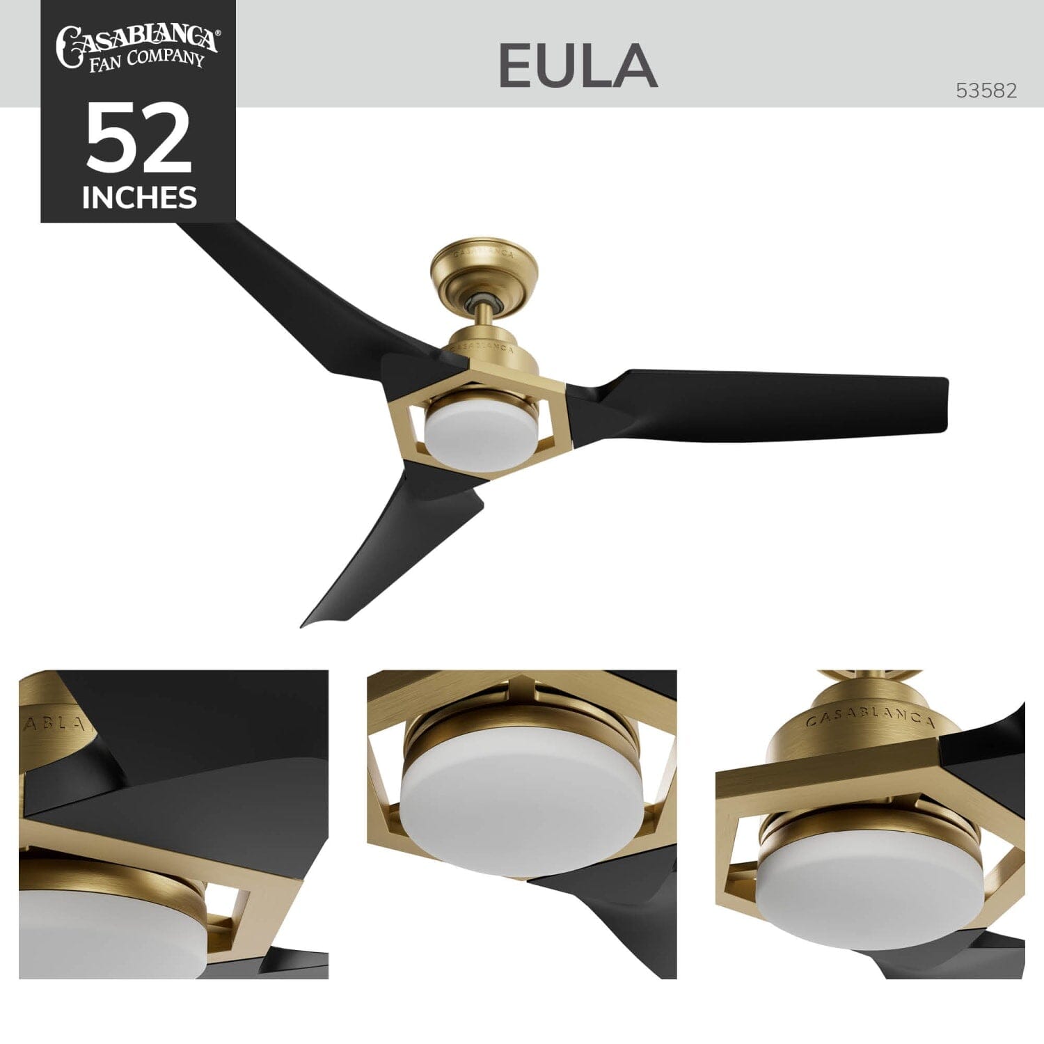 Eula Outdoor ENERGY STAR DC with LED Light 52 inch with remote and wall control - Image 5