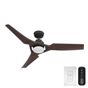 Eula Outdoor ENERGY STAR DC with LED Light 52 inch with remote and wall control