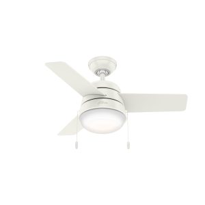 Aker with LED Light 36 inch