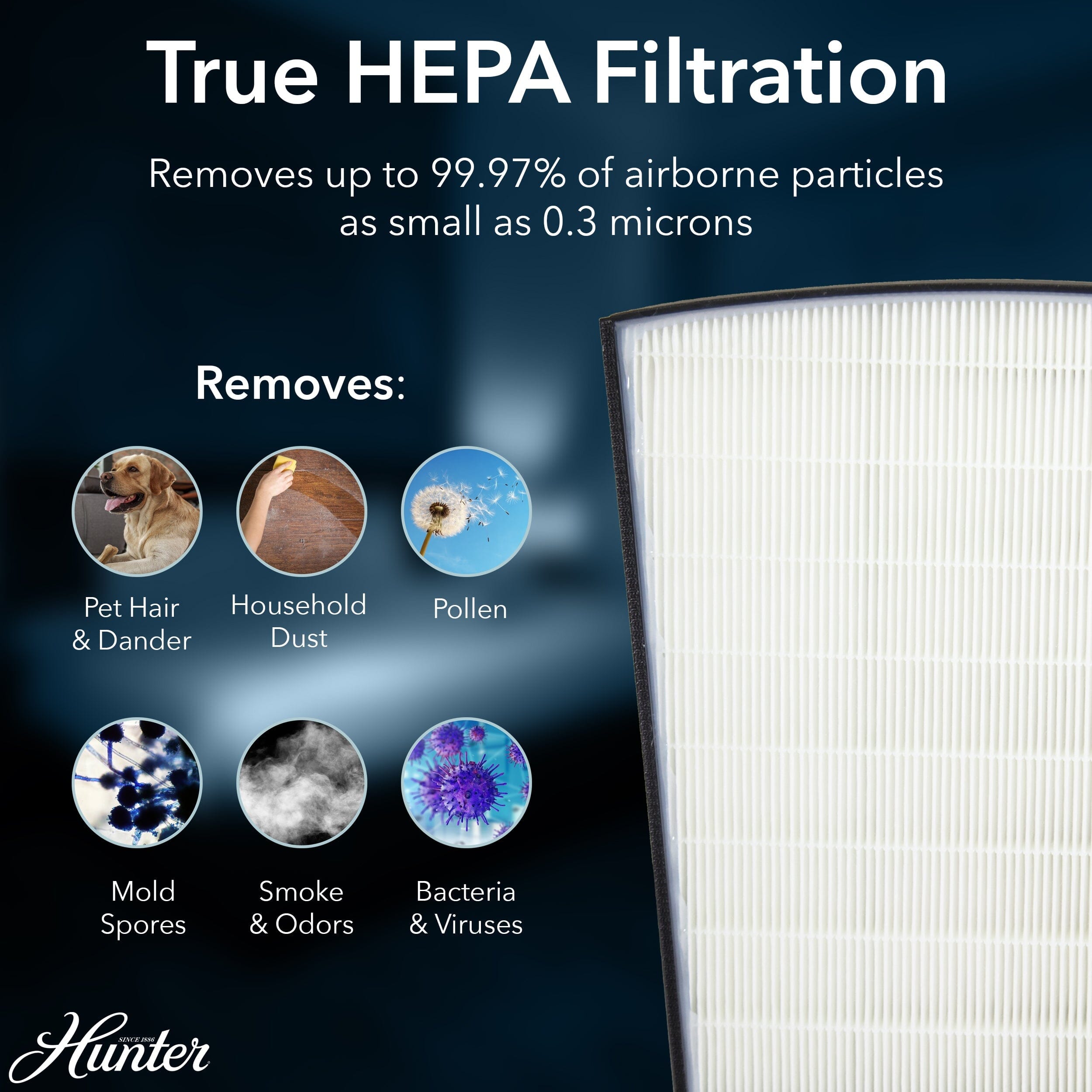 HP800 Multi-Room Large Console Air Purifier - Image 4